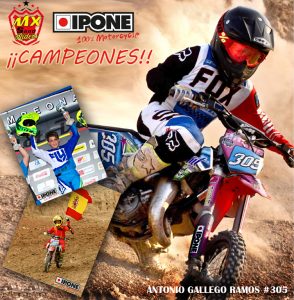 antonio gallego ramos IPONE 2018